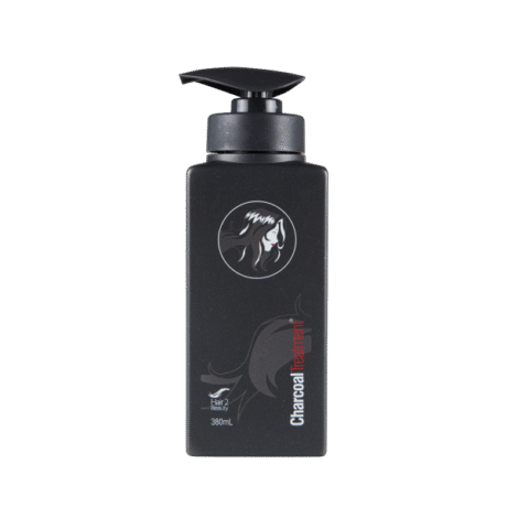 hair2beauty charcoal treatment 380ml